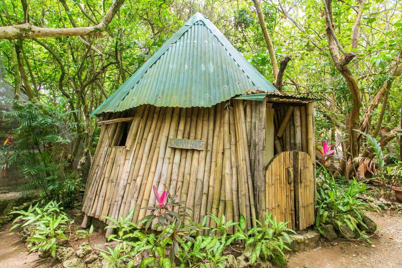 Great Huts Villa Boston Bay Bagian luar foto